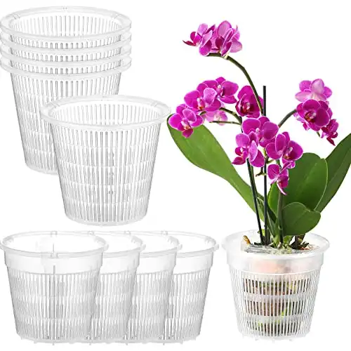 10 Pieces Clear Net Pot Set (4.3 Inches, 5.5 Inches)