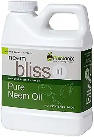 Organic Neem Bliss Oil - (16 oz)